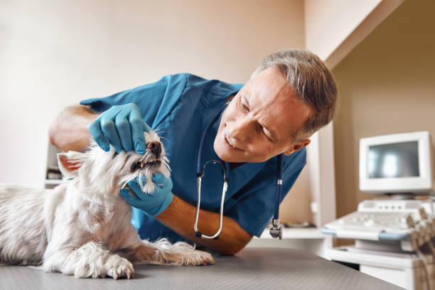 Best 24-Hour Emergency Dentist in Irvine, CA